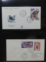 Französische Gebiete in der Antarktis (TAAF) gestempelt Sammlung Briefe #HG362