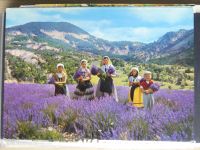 Sammlung Postkarten mit Motiv Werbung und Reklame etc. #LX100