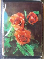 Sammlung Postkarten mit Motiv Werbung und Reklame etc. #LX100