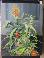 Sammlung Postkarten mit Motiv Werbung und Reklame etc. #LX100