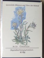 Sammlung Postkarten mit Motiv Werbung und Reklame etc. #LX100