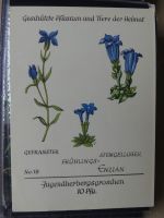 Sammlung Postkarten mit Motiv Werbung und Reklame etc. #LX100