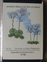 Sammlung Postkarten mit Motiv Werbung und Reklame etc. #LX100