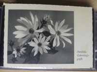 Sammlung Postkarten mit Motiv Werbung und Reklame etc. #LX100