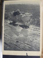 Sammlung Postkarten mit Motiv Werbung und Reklame etc. #LX100