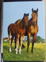 Sammlung Postkarten mit Motiv Werbung und Reklame etc. #LX100