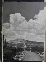 Sammlung Postkarten mit Motiv Werbung und Reklame etc. #LX100