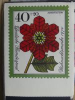 Sammlung Postkarten mit Motiv Werbung und Reklame etc. #LX100