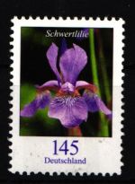 BRD Bund 2507 RA 1 postfrisch Nummer 500 Rollenmarke #IF882