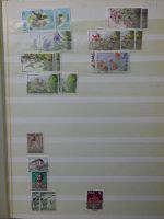 Alle Welt Sammlung mit viel Afrika und Commonwealth #LX497