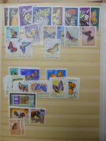 Motivsammlung Schmetterlinge und Insekten aus verschiedenen Ländern #LX541