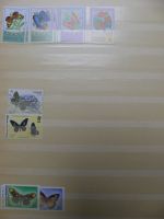 Motivsammlung Schmetterlinge und Insekten aus verschiedenen Ländern #LX541