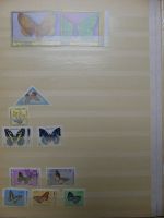Motivsammlung Schmetterlinge und Insekten aus verschiedenen Ländern #LX541
