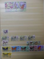 Motivsammlung Schmetterlinge und Insekten aus verschiedenen Ländern #LX541