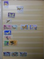 Motivsammlung Schmetterlinge und Insekten aus verschiedenen Ländern #LX541