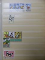Motivsammlung Schmetterlinge und Insekten aus verschiedenen Ländern #LX541