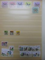 Motivsammlung Schmetterlinge und Insekten aus verschiedenen Ländern #LX541