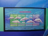 Hongkong Jahrbuch 1999 postfrisch nicht komplett #JB463