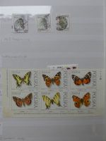 Polen Lagerbuch dual besammelt im Einsteckalbum #LX863