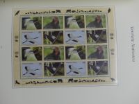 Vereinte Nationen Sammlung 2005-2014 postfrisch im Borek Vordruckalbum #LX951
