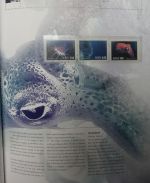 Norwegen Jahrbuch 2004 kpl. postfrisch mit Kassette #JR954
