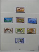 Berlin ab 1955-1985 postfrisch besammelt, Text ab 50 im Lindner Vordruck #LY179