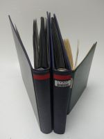 Alle Welt Luftpostmarken dual besammelt im Safe Binder #LY307