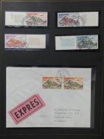 Alle Welt Luftpostmarken dual besammelt im Safe Binder #LY307