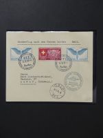 Alle Welt Luftpostmarken dual besammelt im Safe Binder #LY307