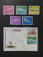Alle Welt Luftpostmarken dual besammelt im Safe Binder #LY307