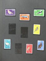 Alle Welt Luftpostmarken dual besammelt im Safe Binder #LY307