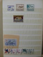 Alle Welt Luftpostmarken dual besammelt im Safe Binder #LY307