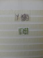 Alle Welt Luftpostmarken dual besammelt im Safe Binder #LY307