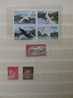 Alle Welt Luftpostmarken dual besammelt im Safe Binder #LY307