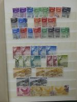Alle Welt Luftpostmarken dual besammelt im Safe Binder #LY307