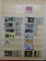 Sowjetunion Lagerbuch gestempelt bzw. postfrisch im Einsteck Album #LY528