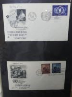 Vereinte Nationen New York FDCs ab 1951 besammelt im Ring Binder #LY662