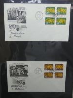 Vereinte Nationen New York FDCs ab 1951 besammelt im Ring Binder #LY662
