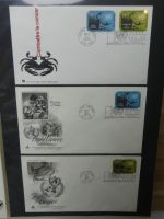 Vereinte Nationen New York FDCs ab 1966 besammelt im Ring Binder #LY663