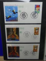Frankreich FDCs ab 1999 besammelt über 200 Stück im Ringbinder #LY692