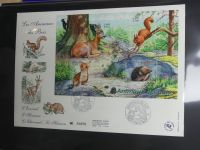 Frankreich FDCs ab 1999 besammelt über 200 Stück im Ringbinder #LY692