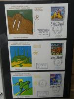 Frankreich und Gebiete FDCs ab 2002 besammelt im Ringbinder #LY693