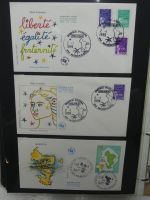 Frankreich und Gebiete FDCs ab 2002 besammelt im Ringbinder #LY693