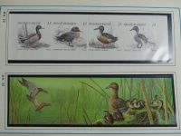 Belgien 1975-1990 postfrisch besammelt auf selbstgestalteten Seiten #LY824