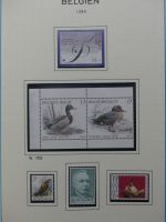 Belgien 1975-1990 postfrisch besammelt auf selbstgestalteten Seiten #LY824