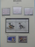 Belgien 1975-1990 postfrisch besammelt auf selbstgestalteten Seiten #LY824