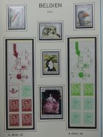 Belgien 1960-1974 postfrisch besammelt auf selbstgestalteten Seiten #LY825