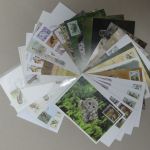 Motiv Eulen Lot von 50 Stück auf Brief oder Postkarte #IM881