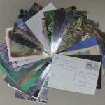Motiv Eulen Lot von 50 Stück auf Brief Postkarte oder Sonstiges #IM878