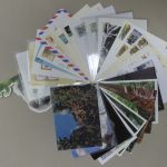 Motiv Eulen Lot von 50 Stück auf Brief Postkarte oder Sonstiges #IM879